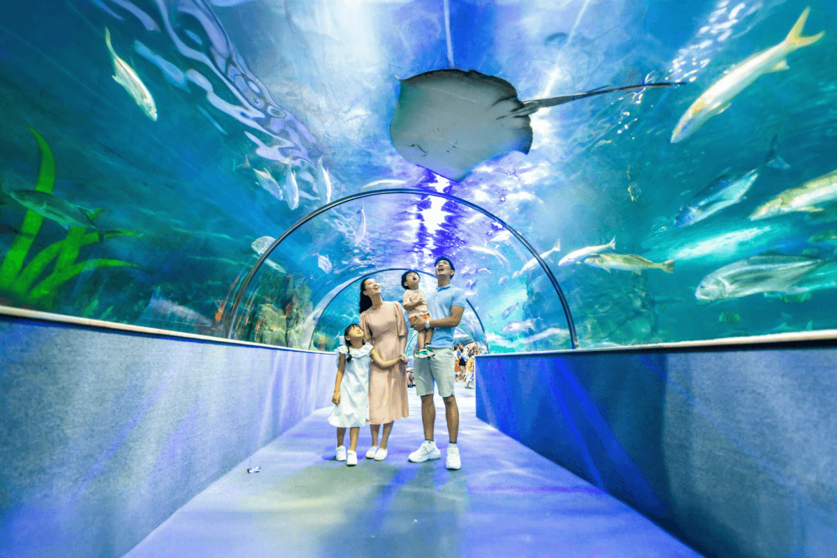VinKE and Vin Pearl Aquarium