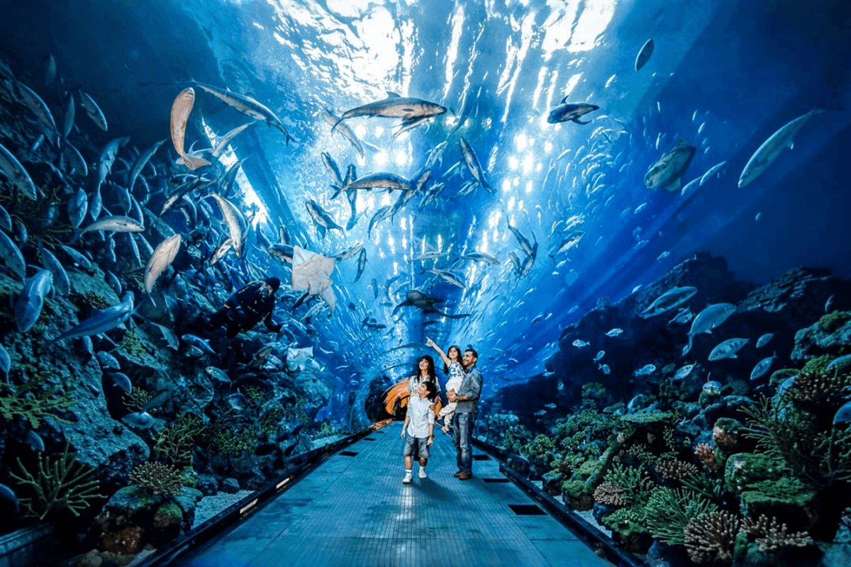 VinKE and Vin Pearl Aquarium