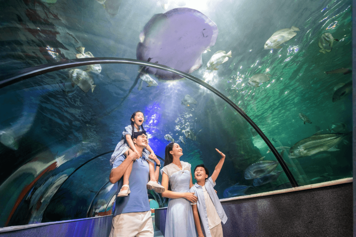 VinKE and Vin Pearl Aquarium