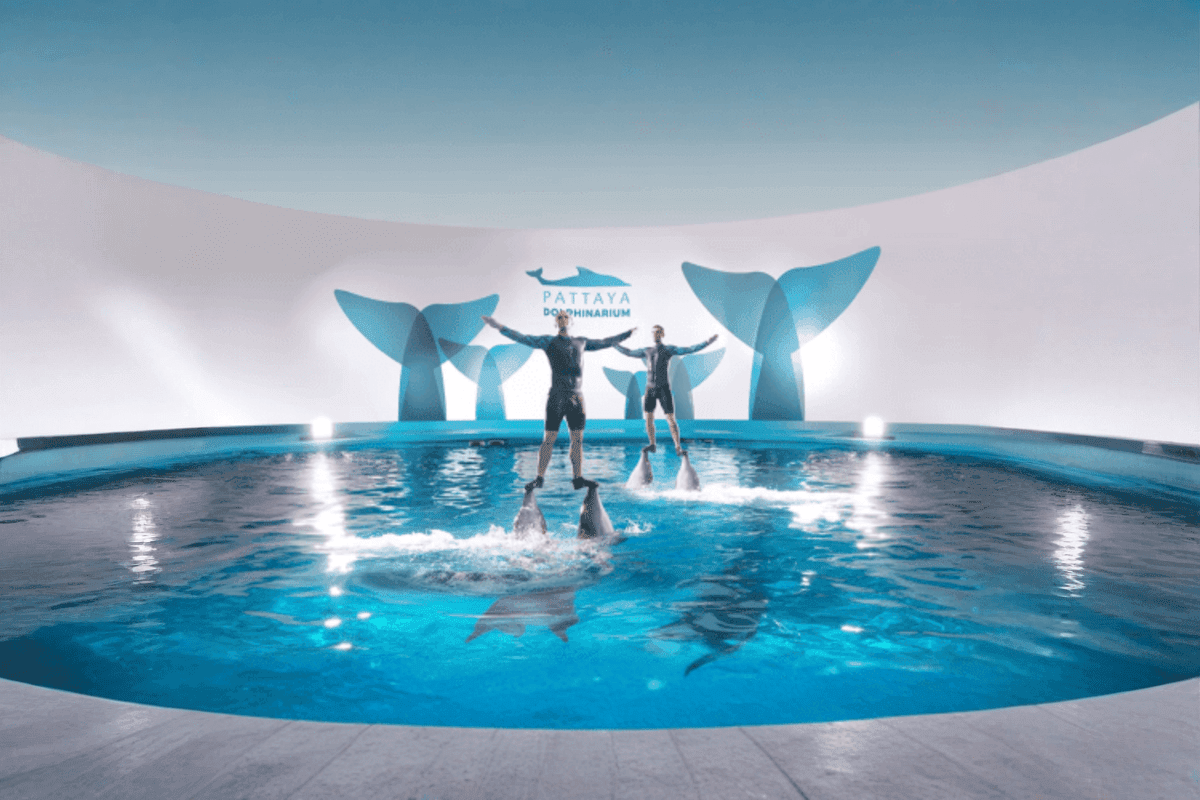Dolphinarium Pattaya