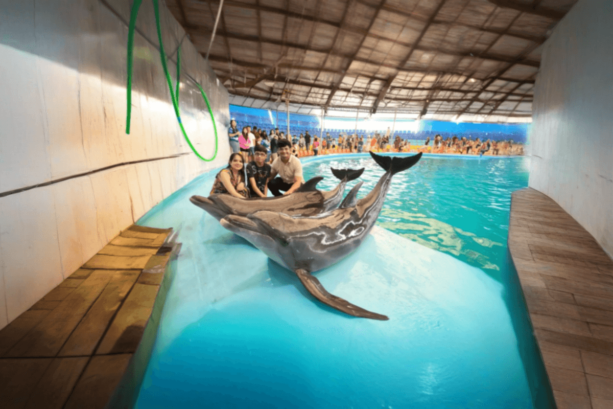 Dolphinarium Pattaya