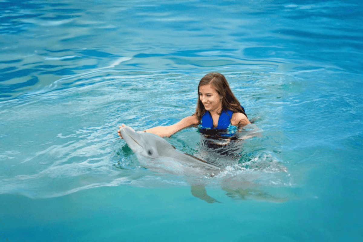 Dolphinarium Pattaya