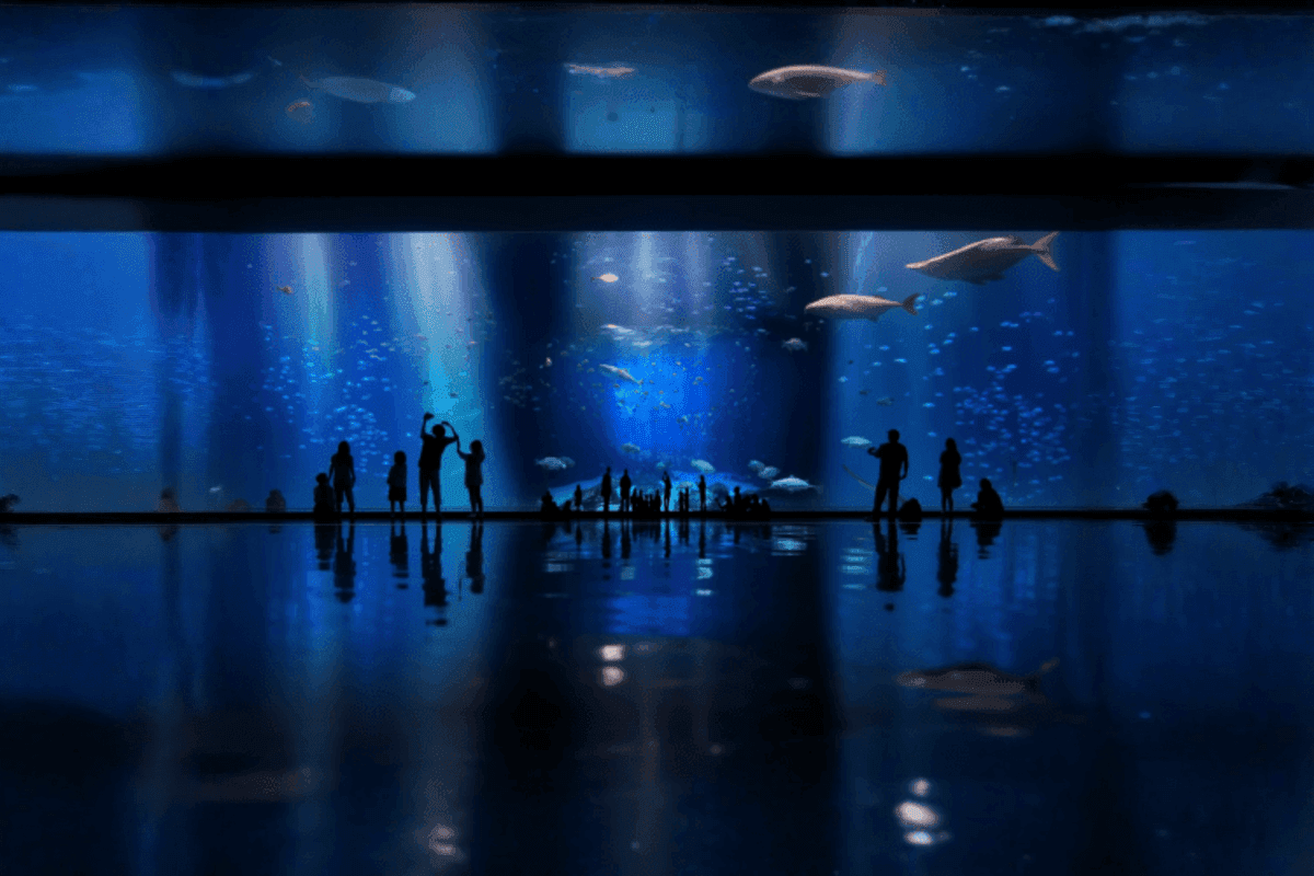 Underwater World