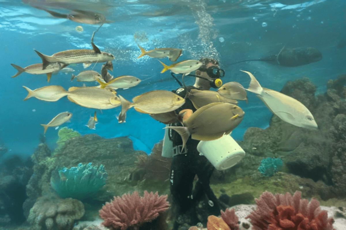 Underwater World