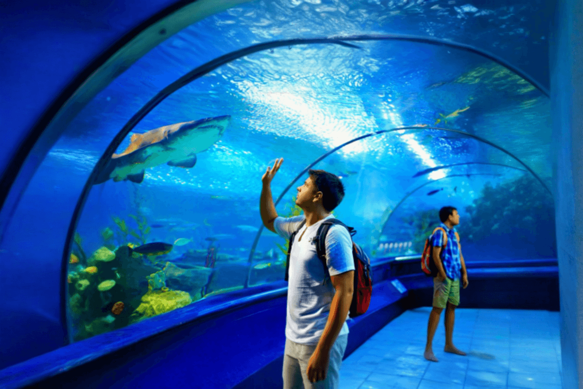 Underwater World