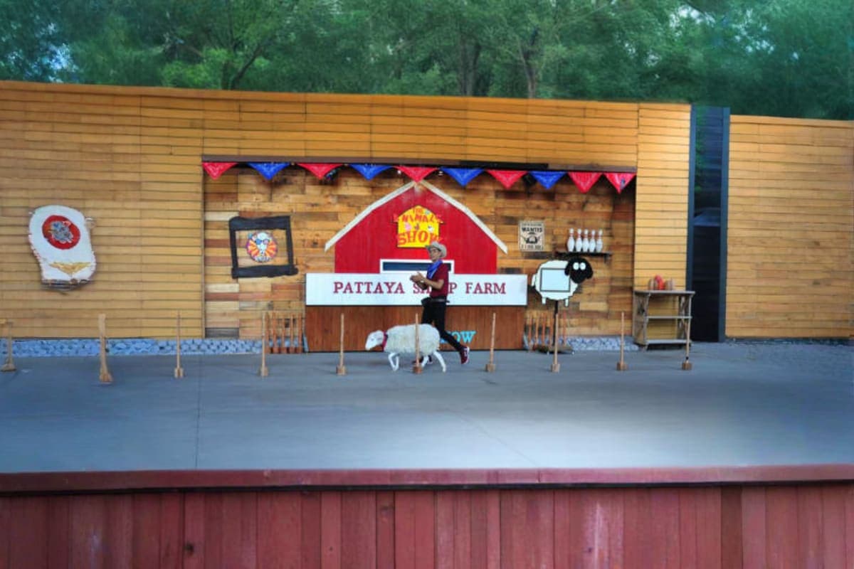 Family Park Pattaya Sheep Farm