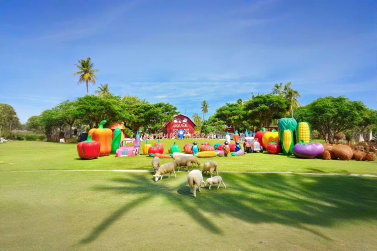 Family Park Pattaya Sheep Farm