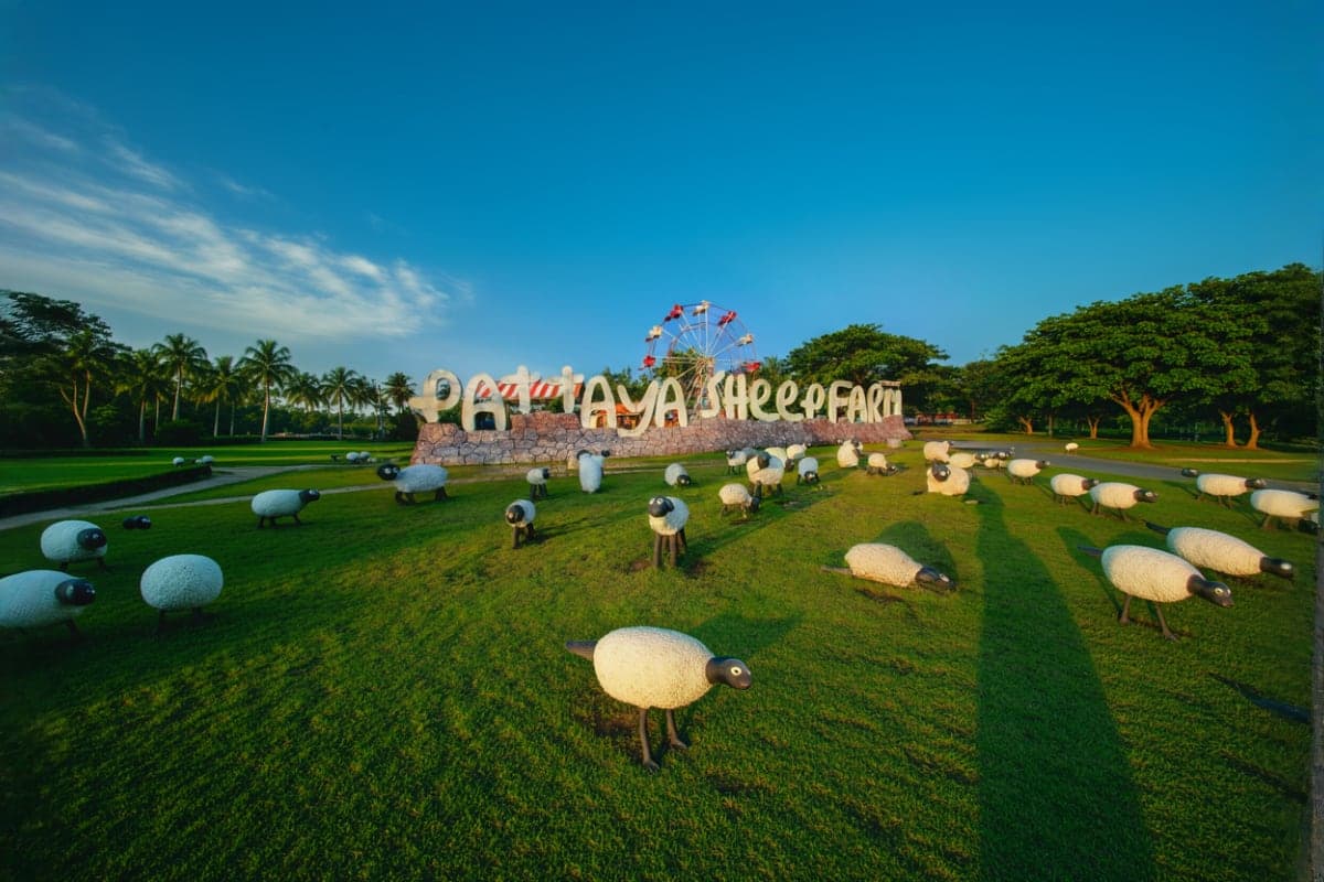 Family Park Pattaya Sheep Farm