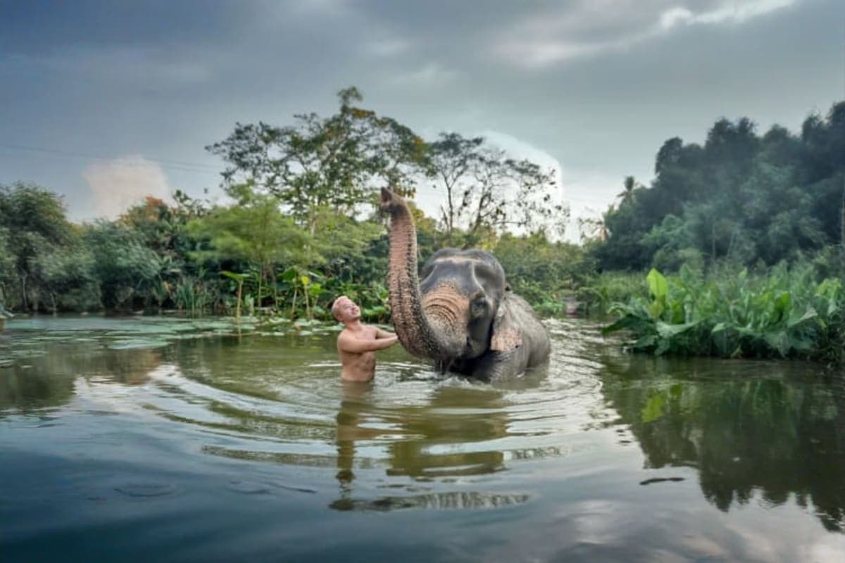Pattaya Elephant Village and Mongchang Cafe