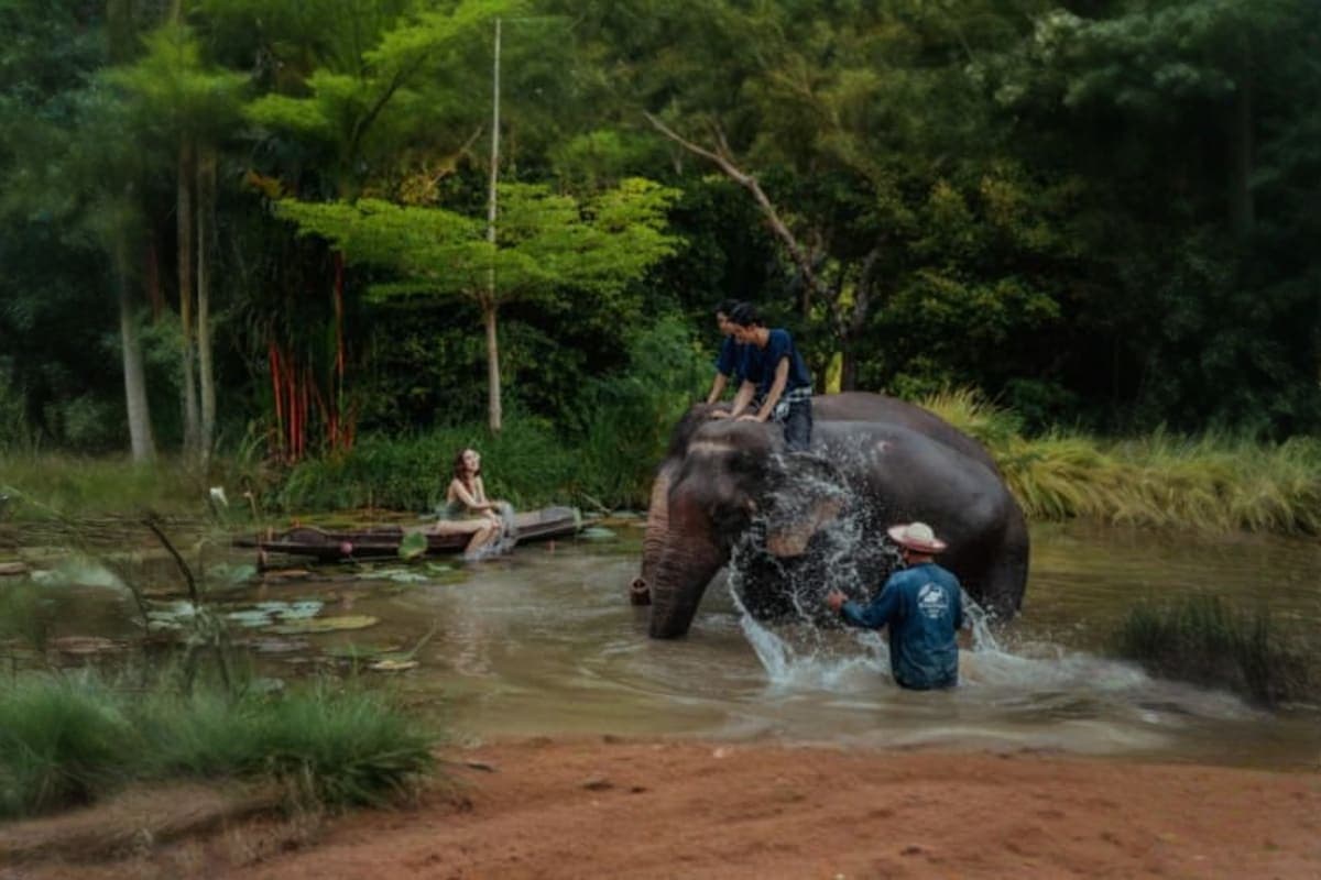 Pattaya Elephant Village and Mongchang Cafe