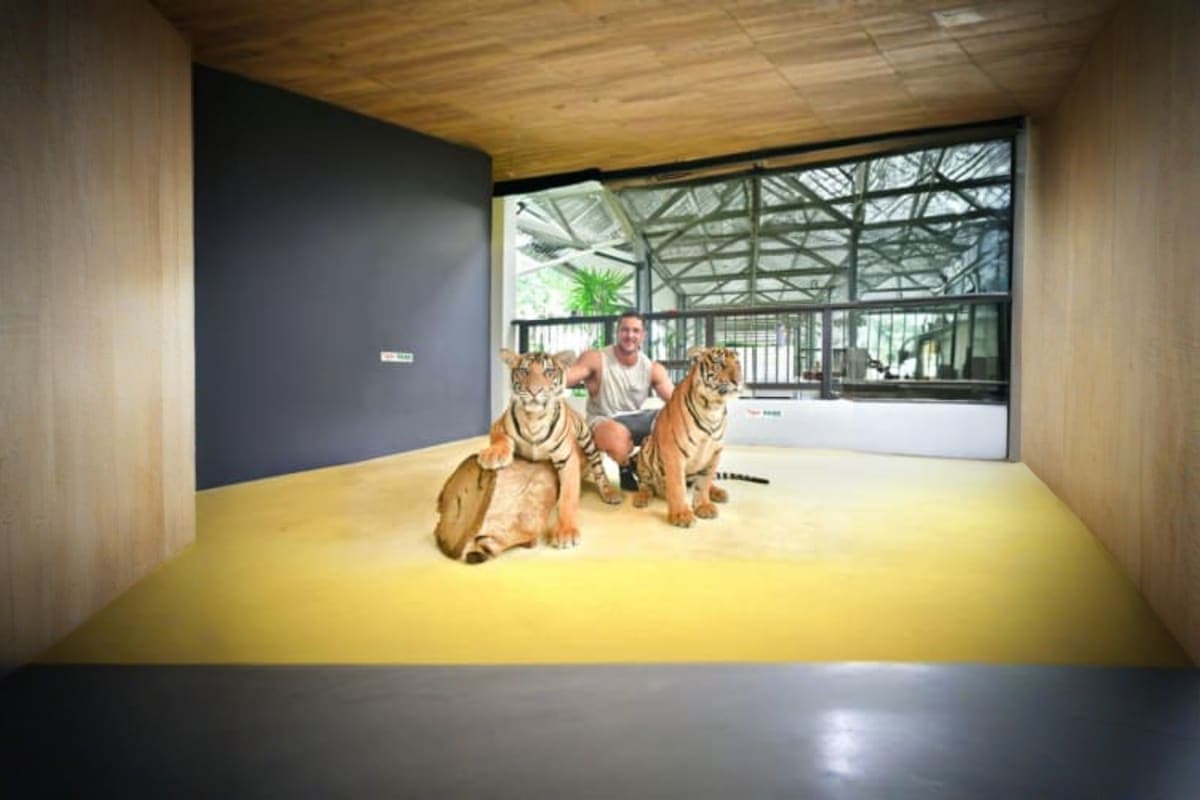 Tiger park