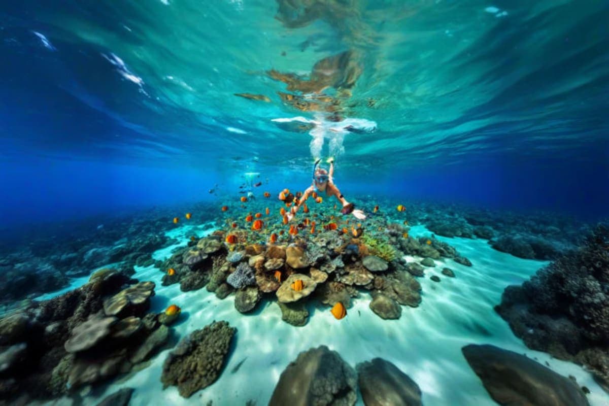 Coral Island