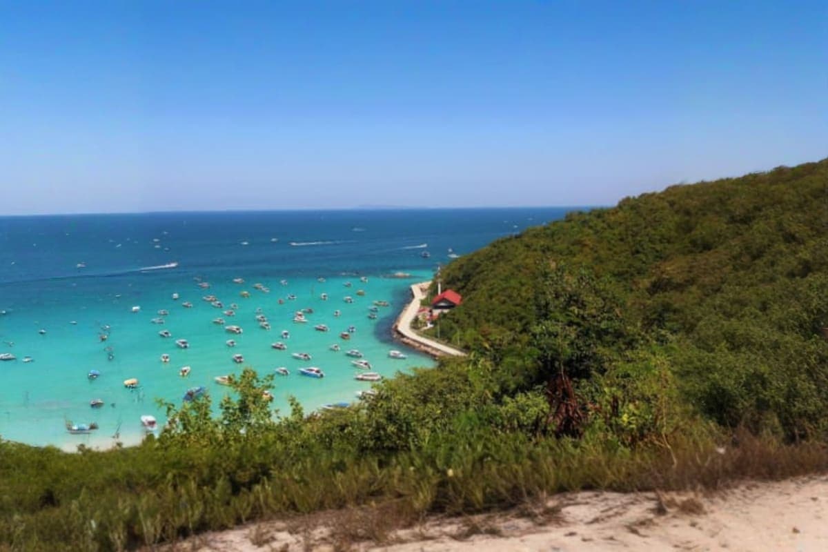 Coral Island
