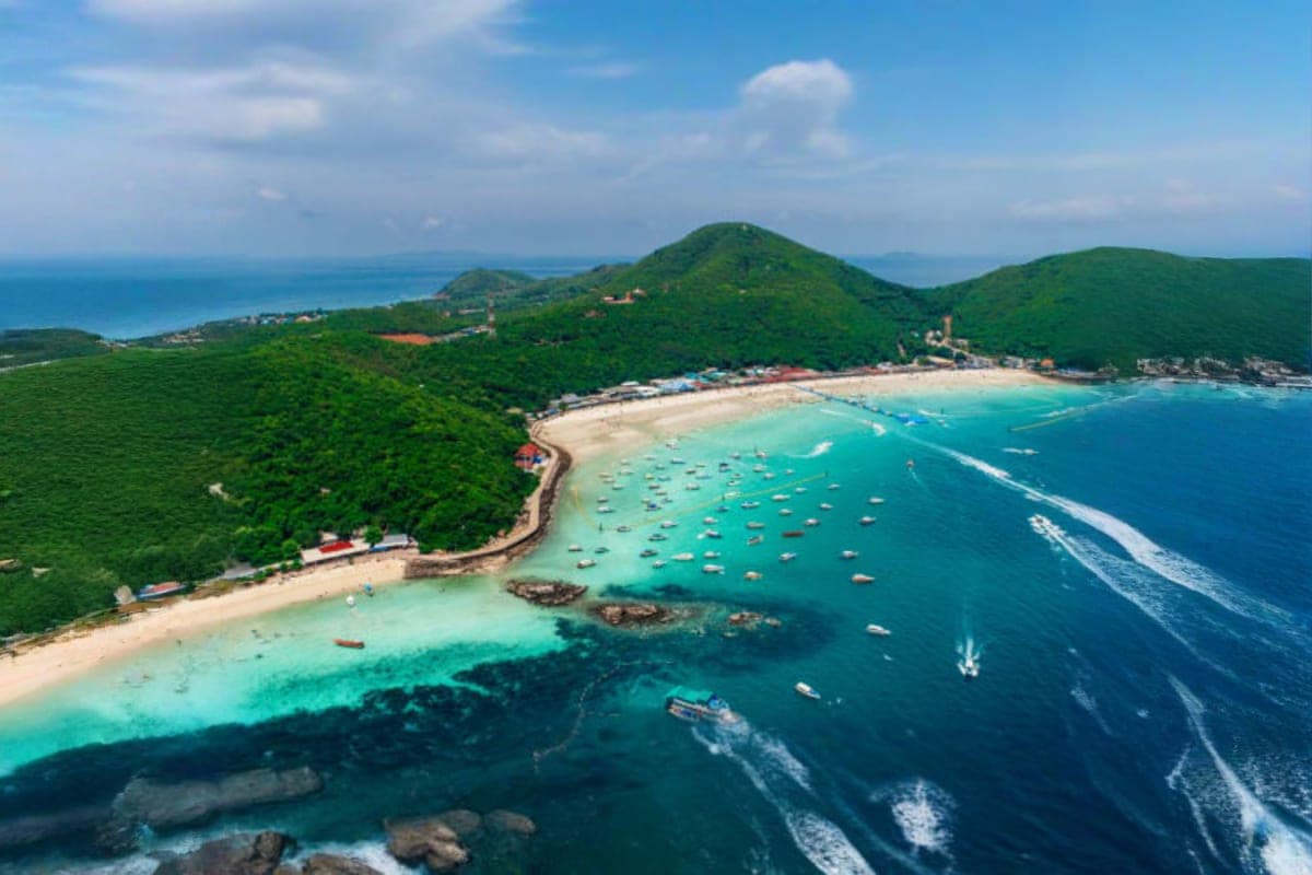 Coral Island