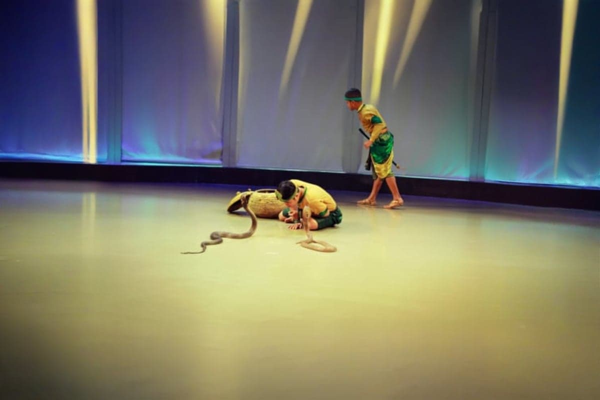 Siam Serpentarium