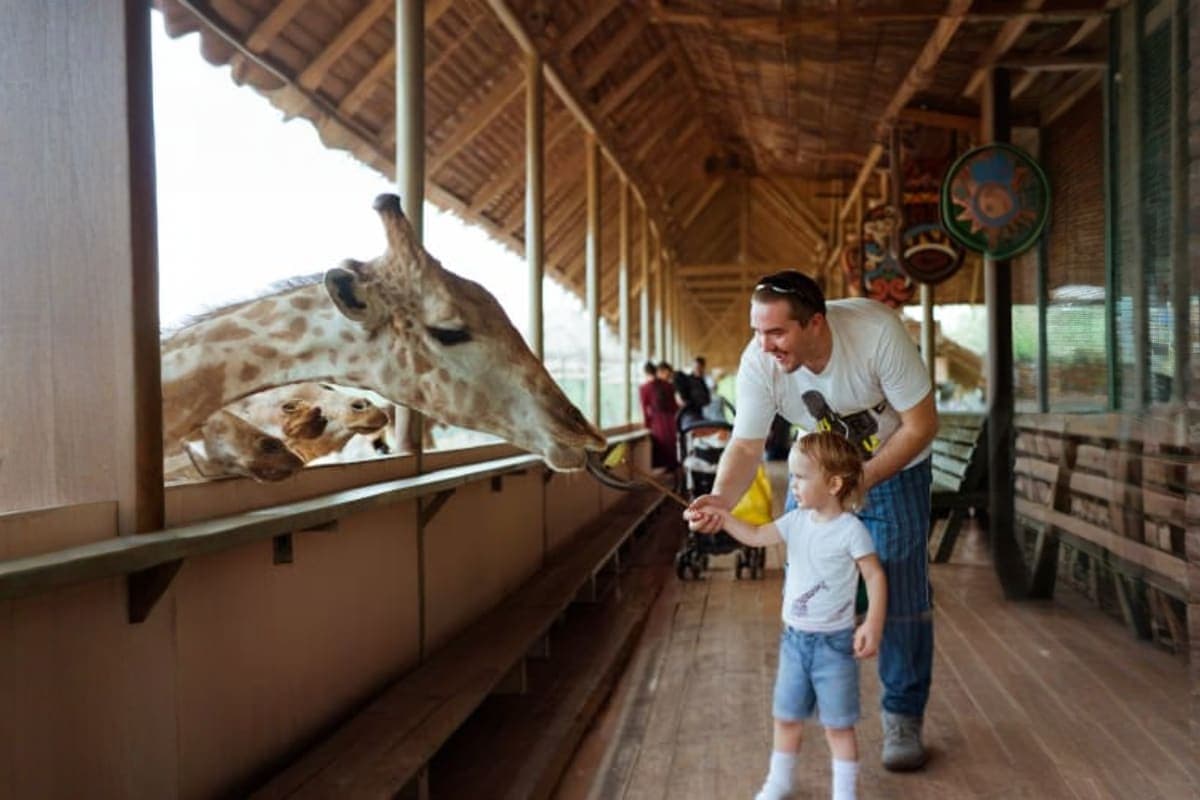 Safari World