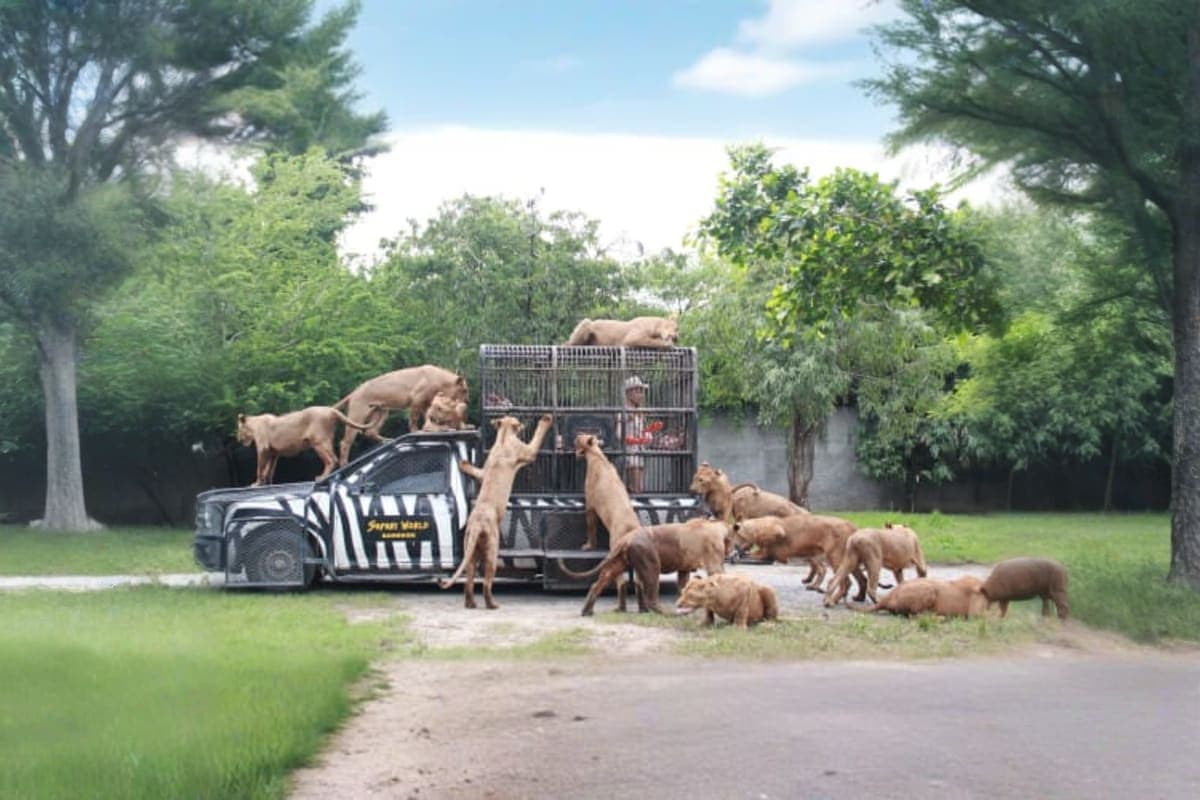 Safari World