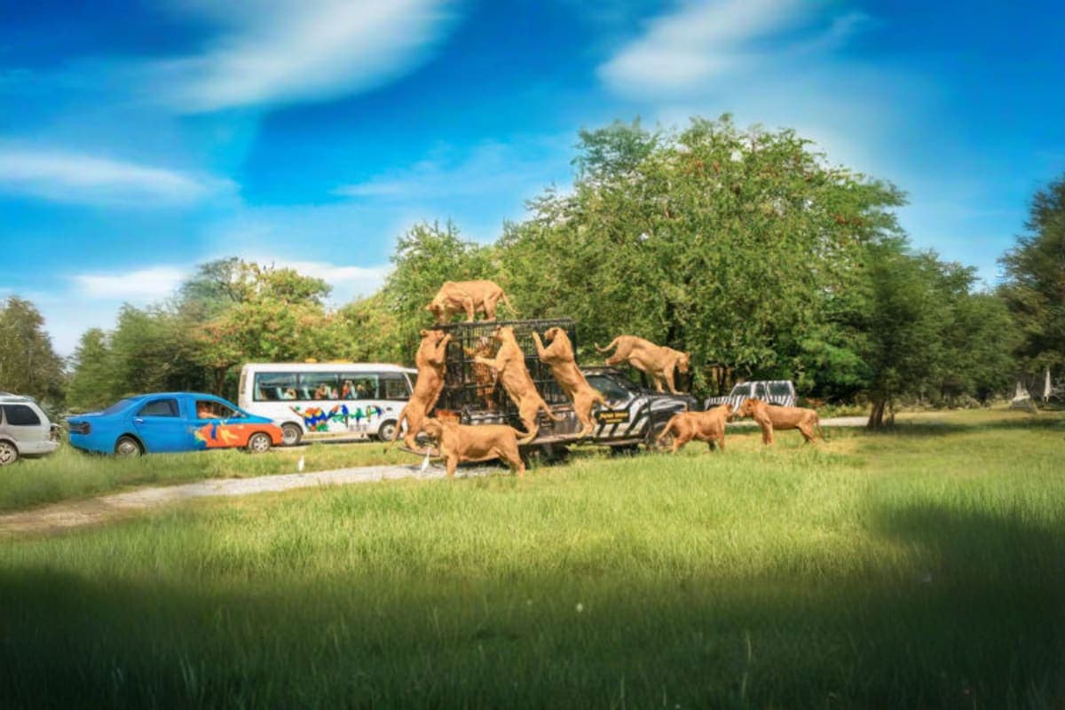 Safari World