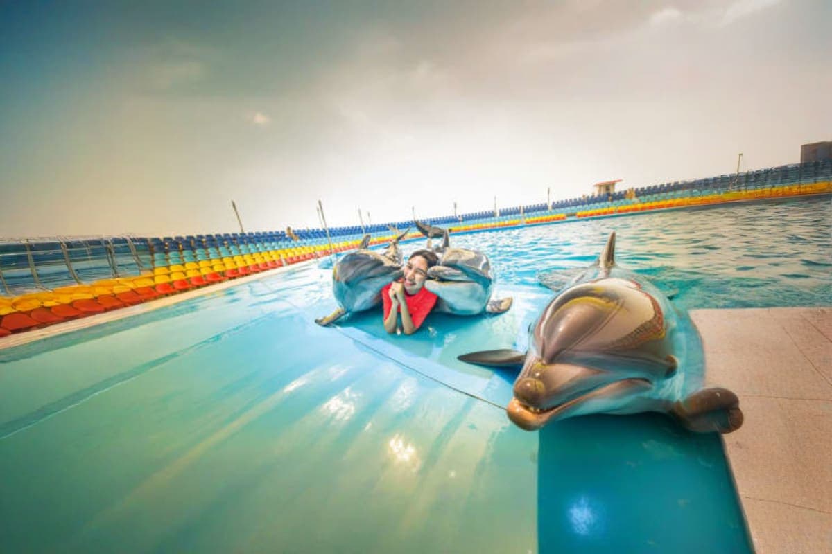 Dolphin Bay