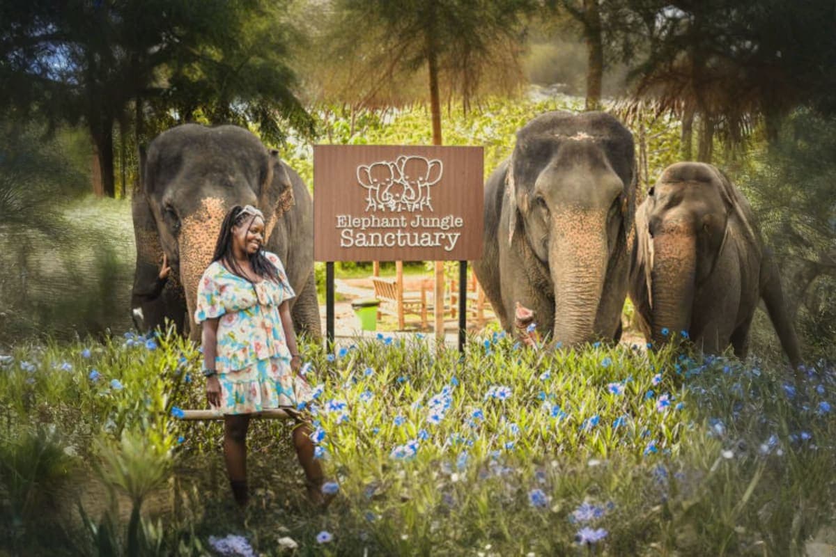 Elephant Wildlife Sanctuary
