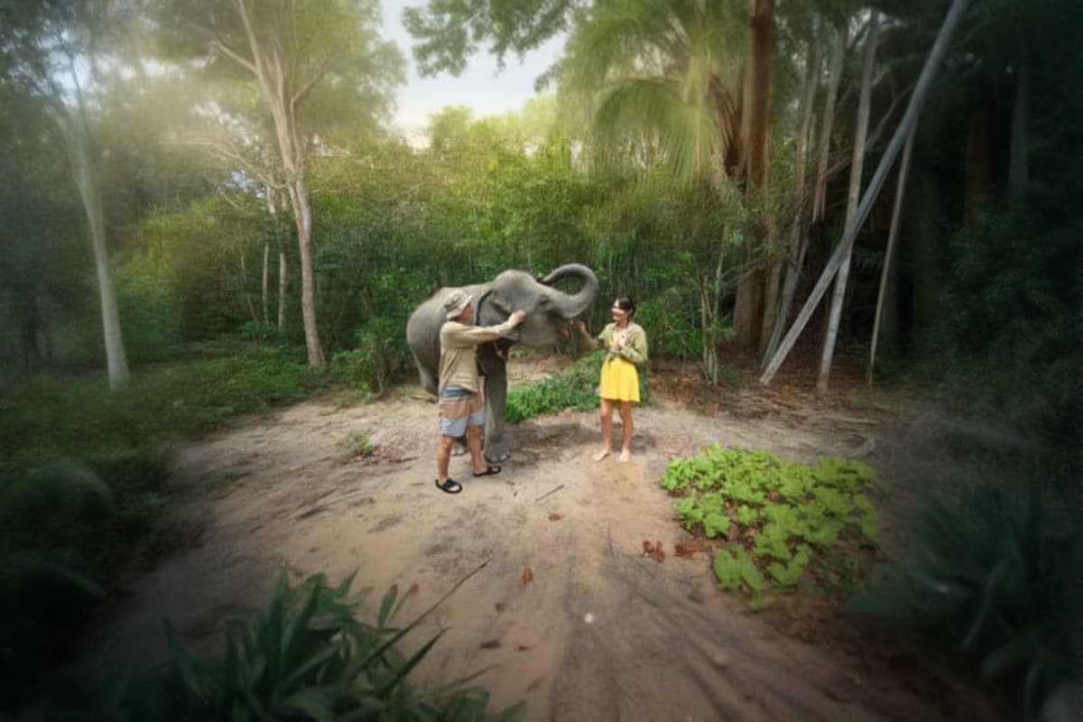 Elephant Wildlife Sanctuary
