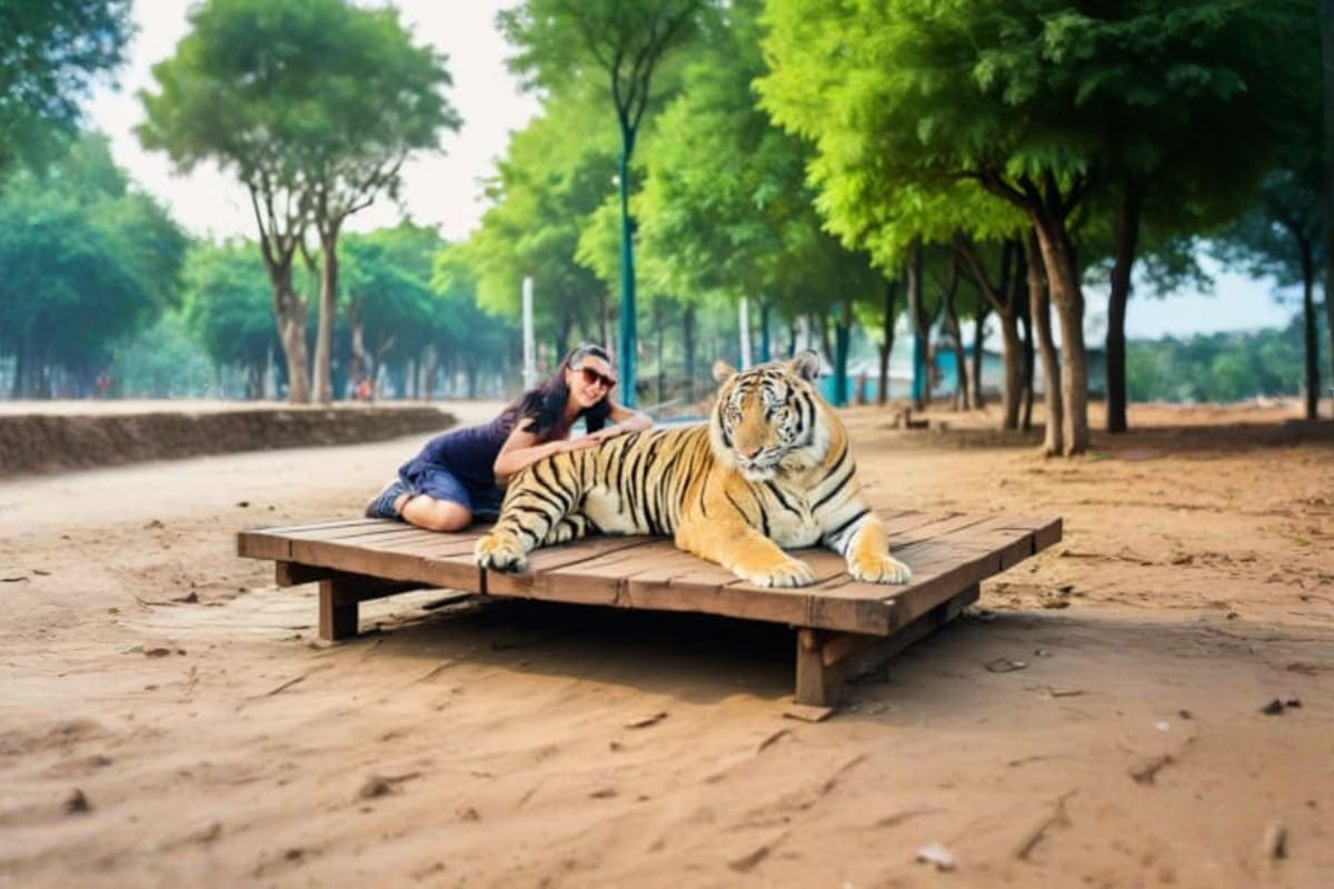 Tiger park