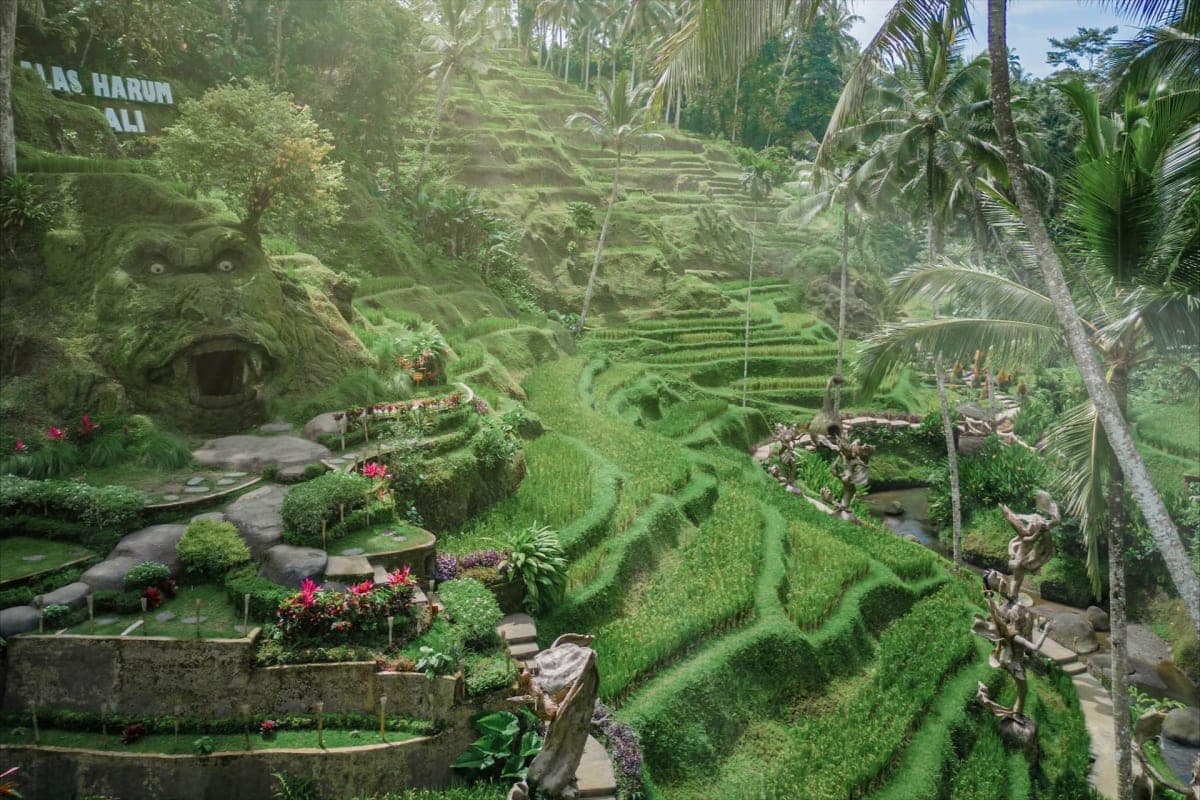Alas Harum Bali in Tegallalang Ubud