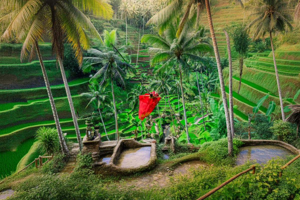 Alas Harum Bali in Tegallalang Ubud