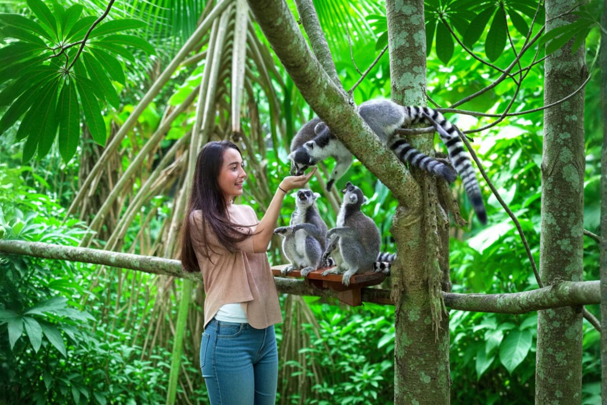 Bali Zoo