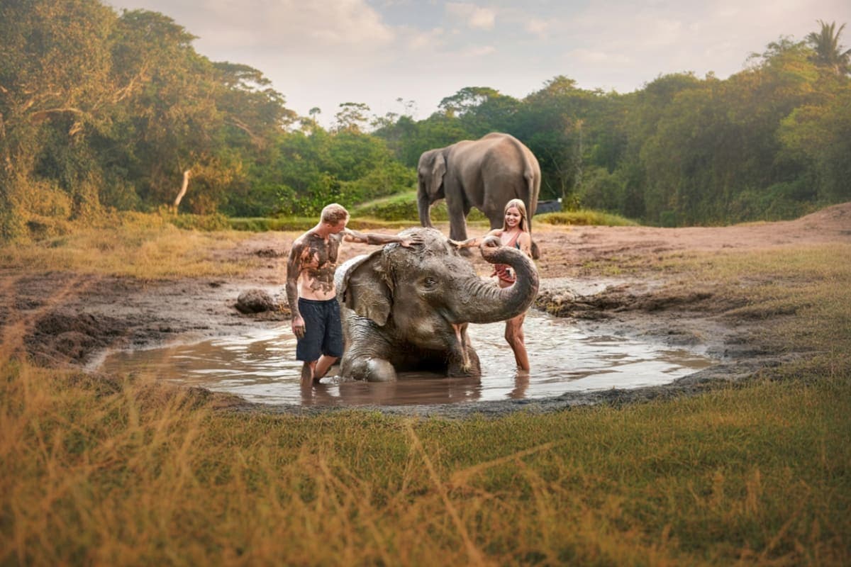 Bali Zoo