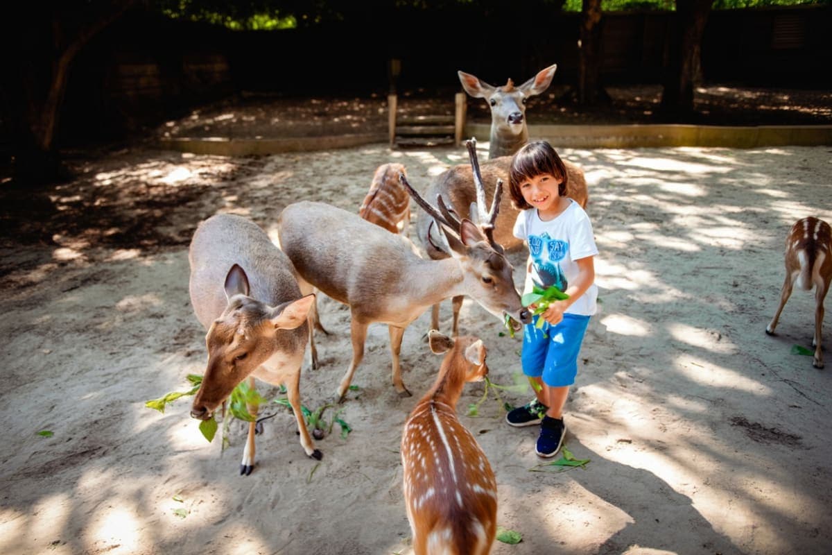 Bali Zoo