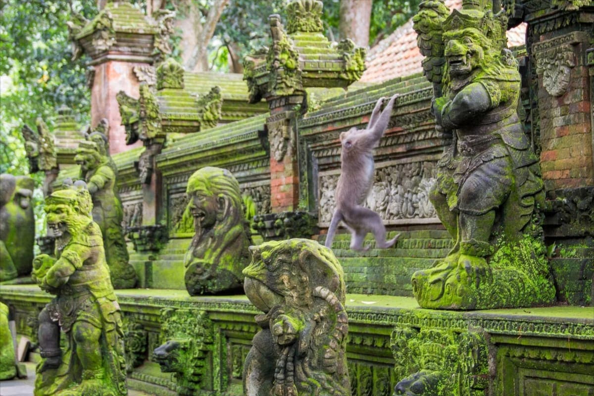 Sacred Monkey Forest Ubud