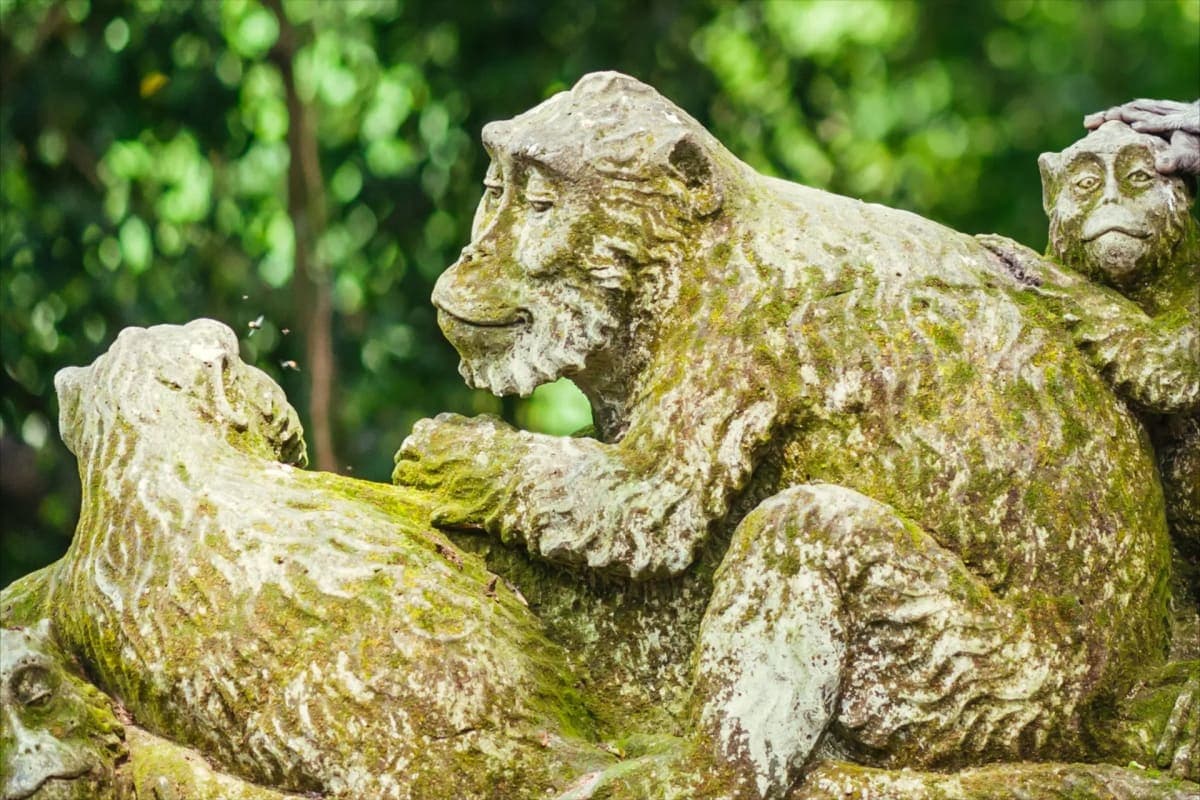 Sacred Monkey Forest Ubud