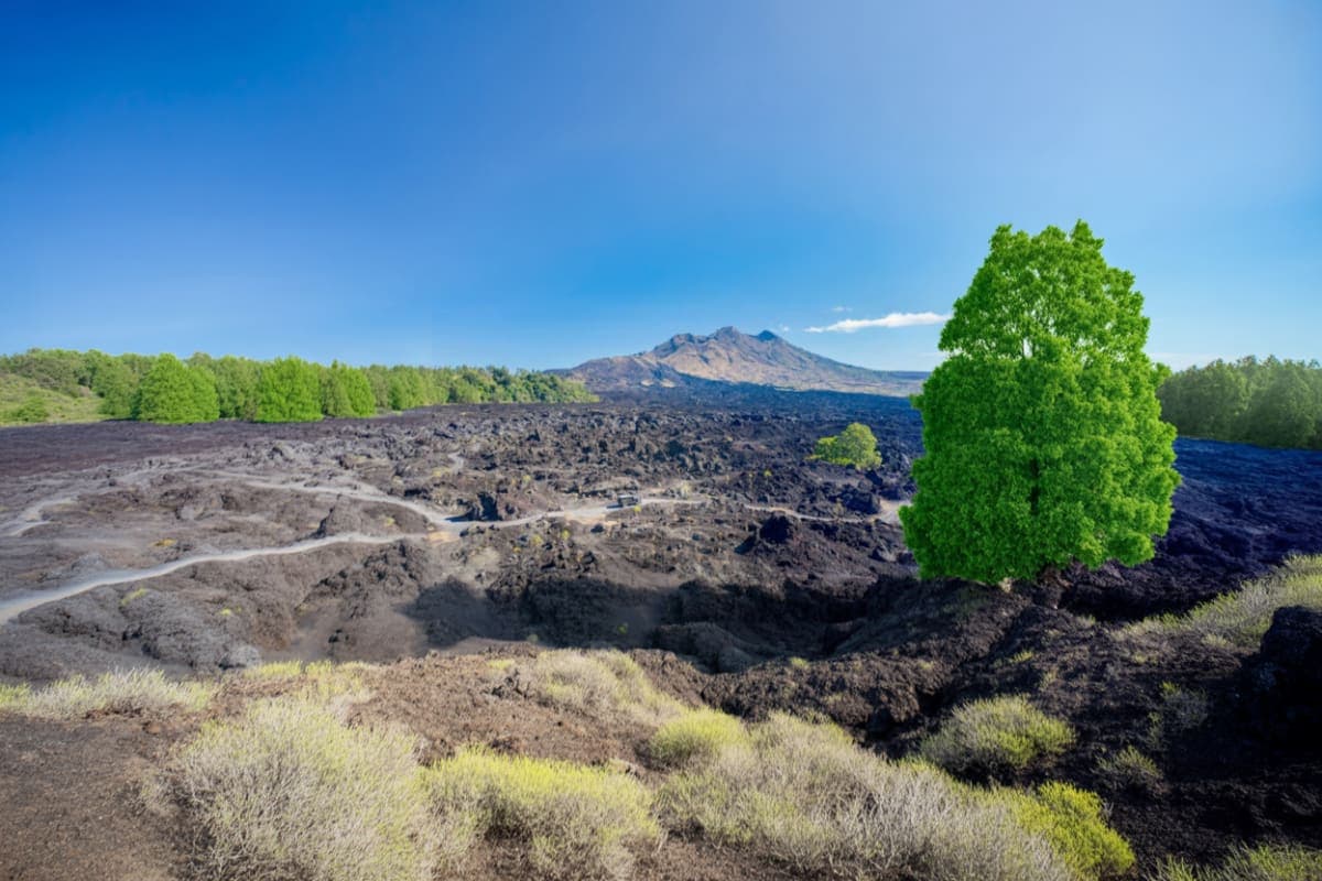 Black Lava Tour