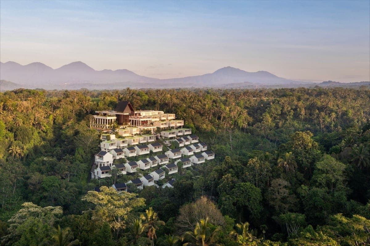 Ubud Highlights Private Day Tour