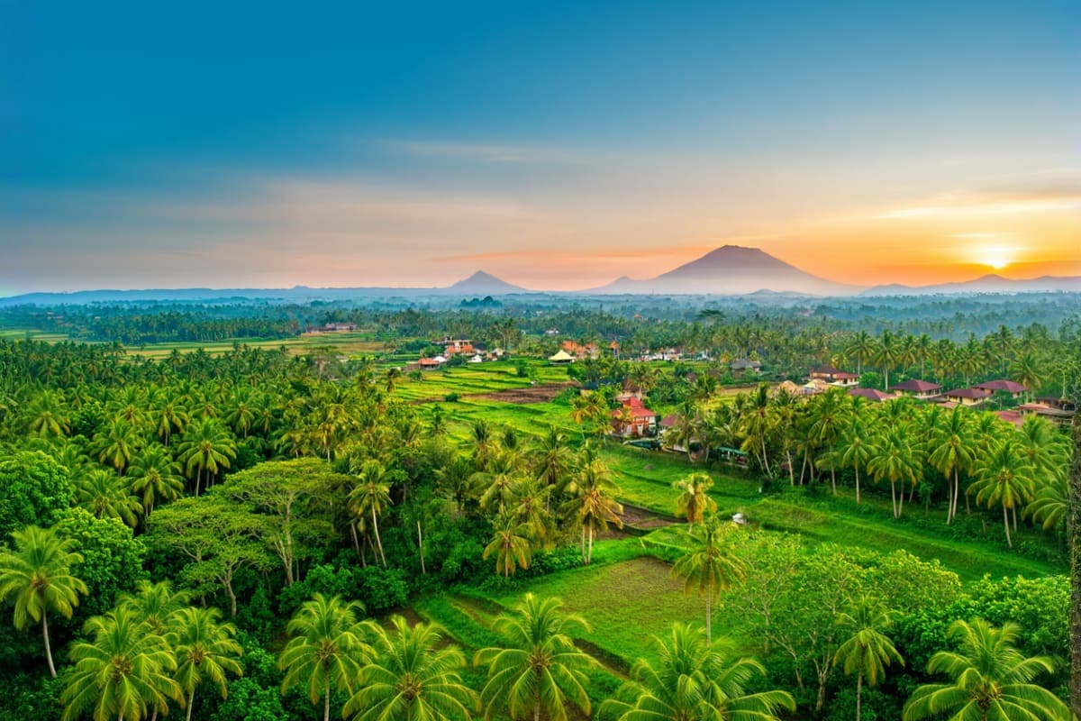 Ubud Highlights Private Day Tour