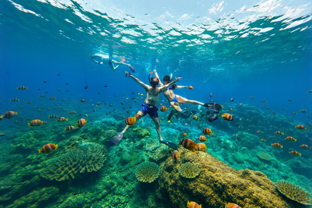 Snorkelling Day Tour in Nusa Lembongan and Nusa Penida from Bali