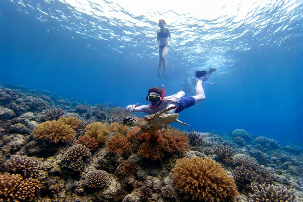 Snorkelling Day Tour in Nusa Lembongan and Nusa Penida from Bali