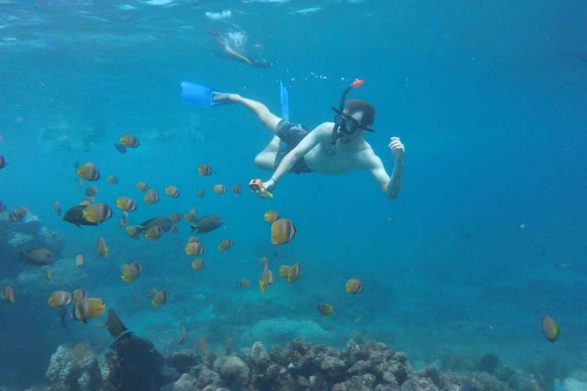 Snorkelling Day Tour in Nusa Lembongan and Nusa Penida from Bali