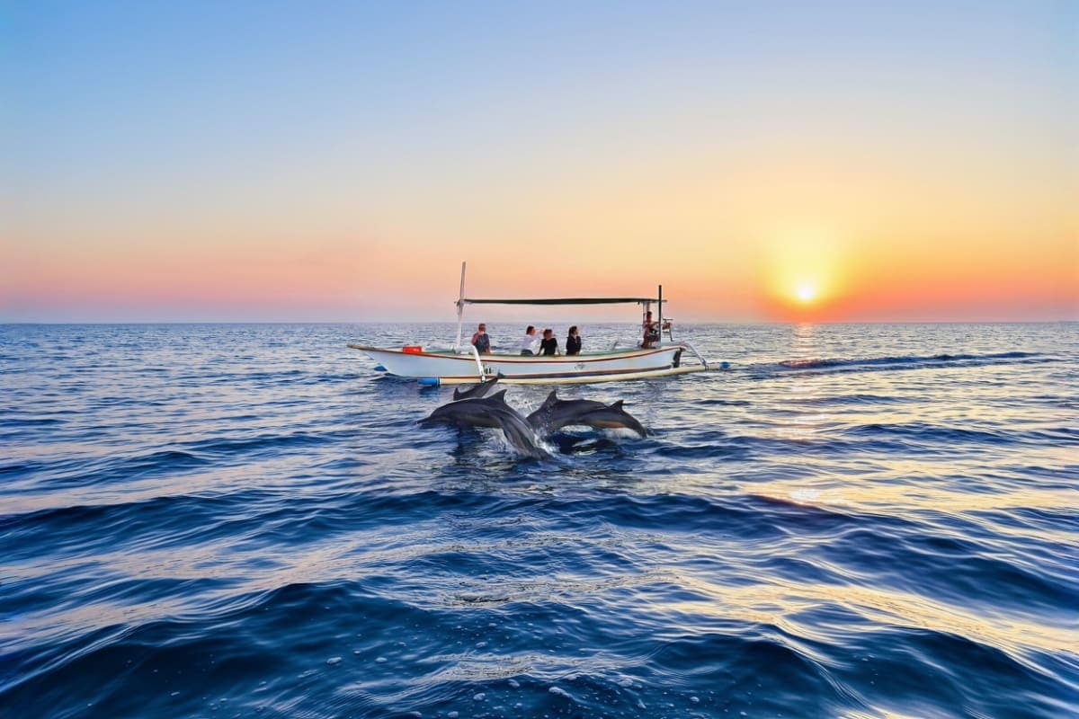 Lovina Dolphin Watching And North Bali Day Trip