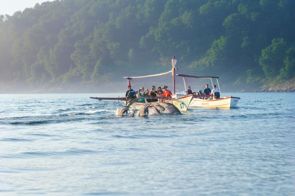 Lovina Dolphin Watching And North Bali Day Trip