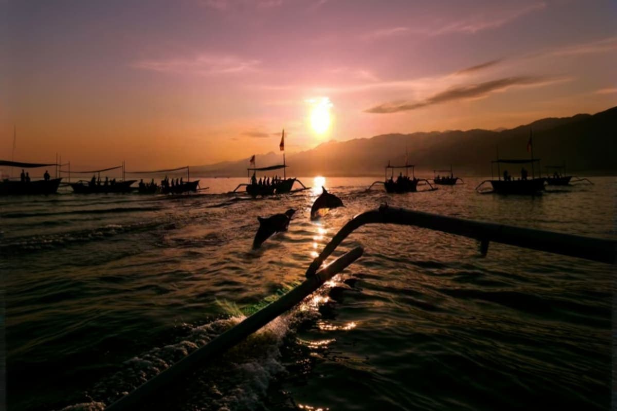 Lovina Dolphin Watching And North Bali Day Trip