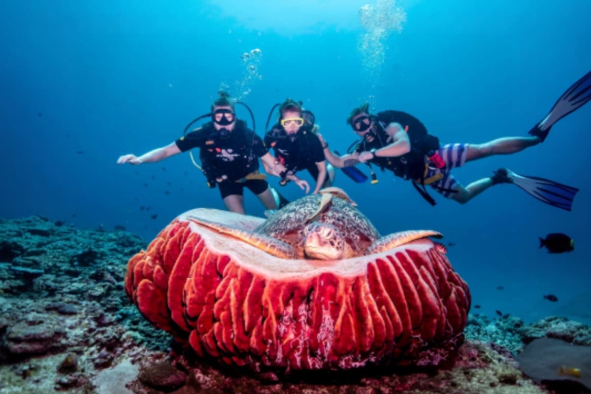 Scuba Diving Gili Islands