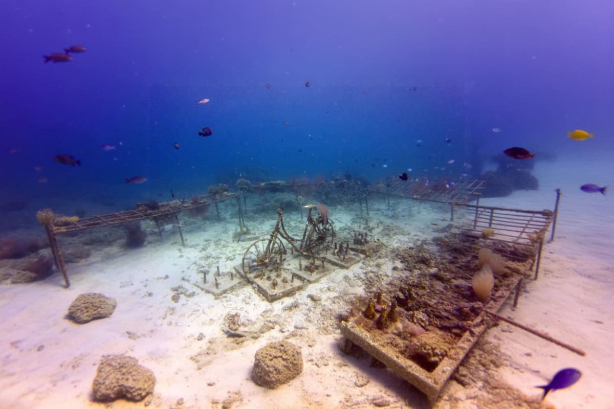 Scuba Diving Gili Islands