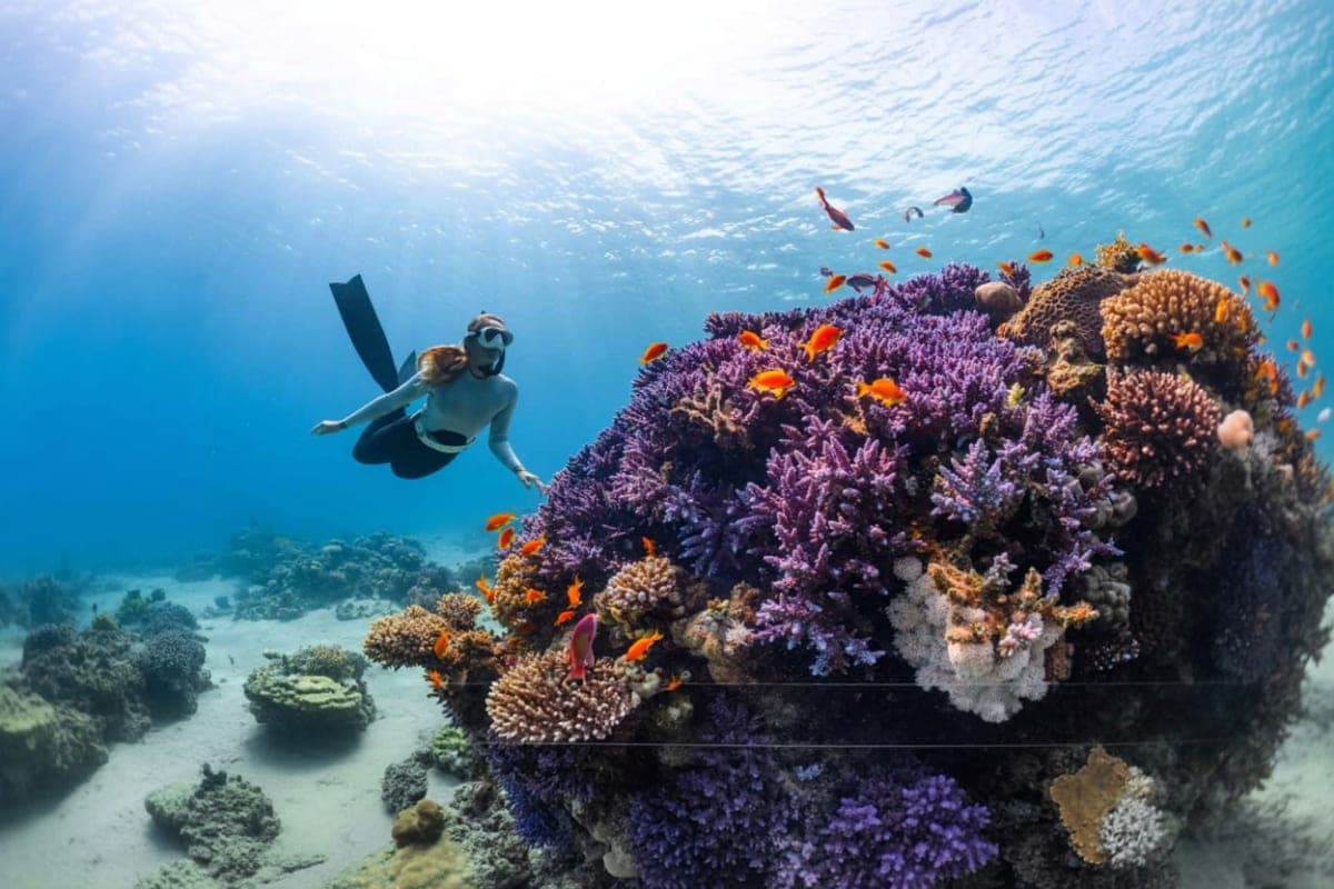 Scuba Diving Gili Islands