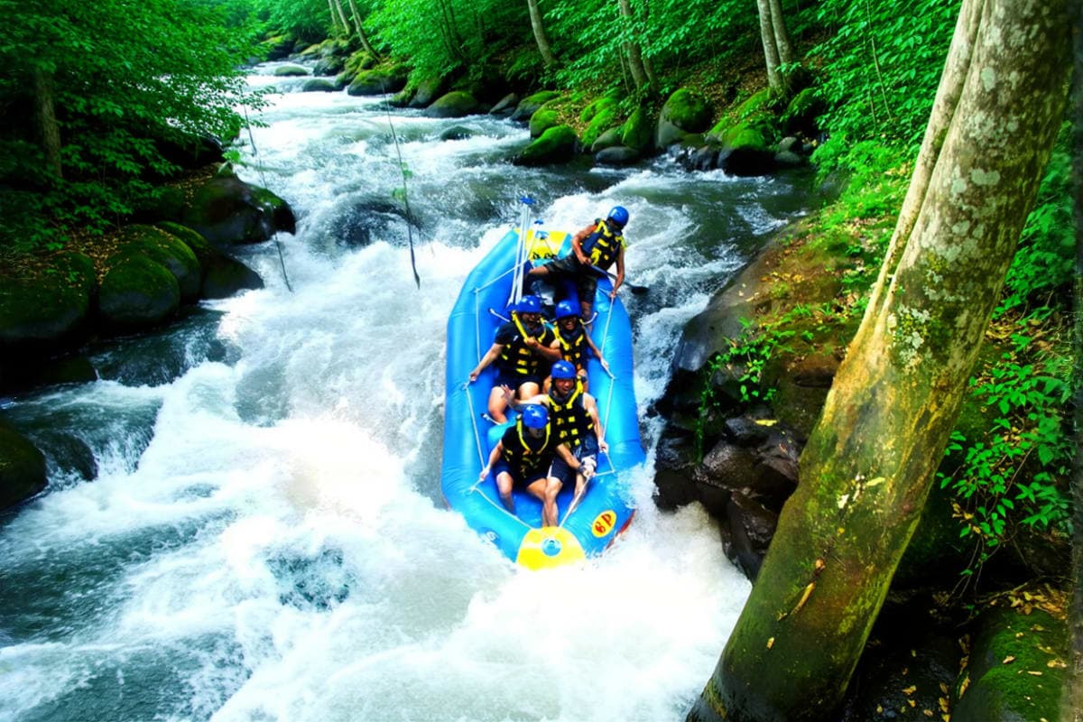Ayung White Water Rafting
