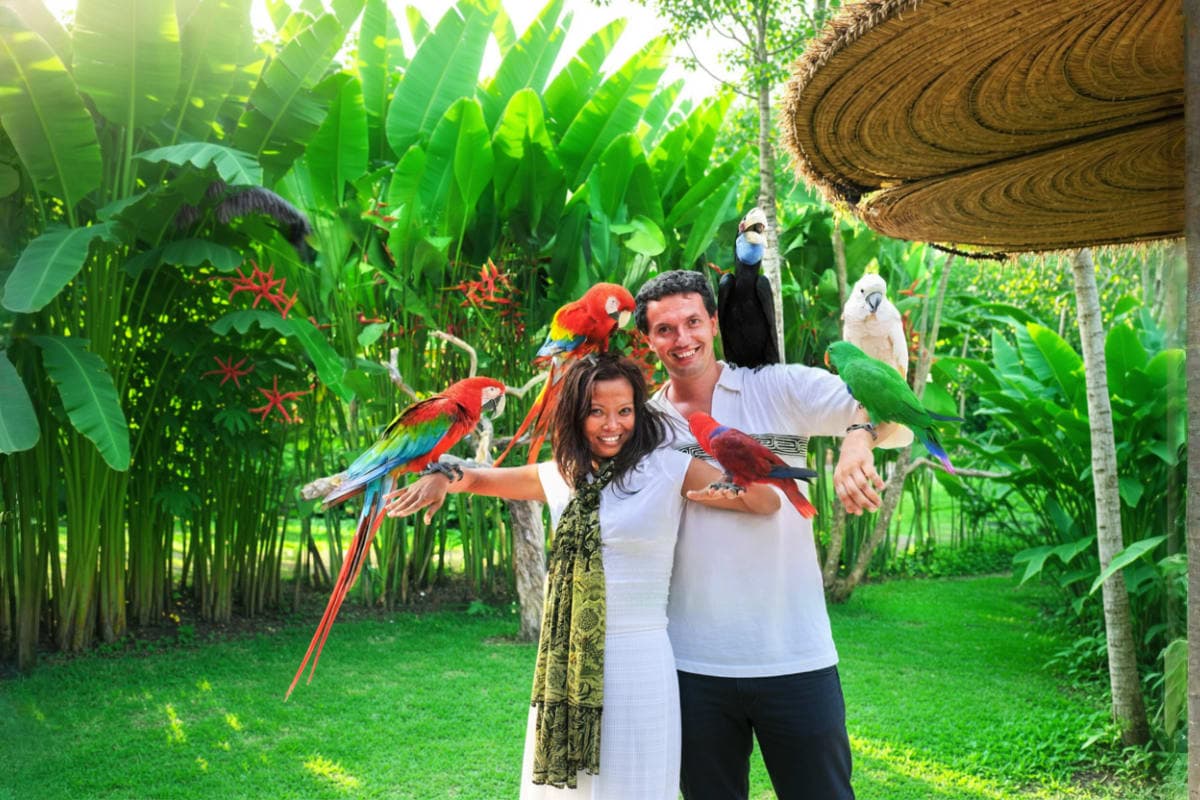 Bali Bird Park Ticket