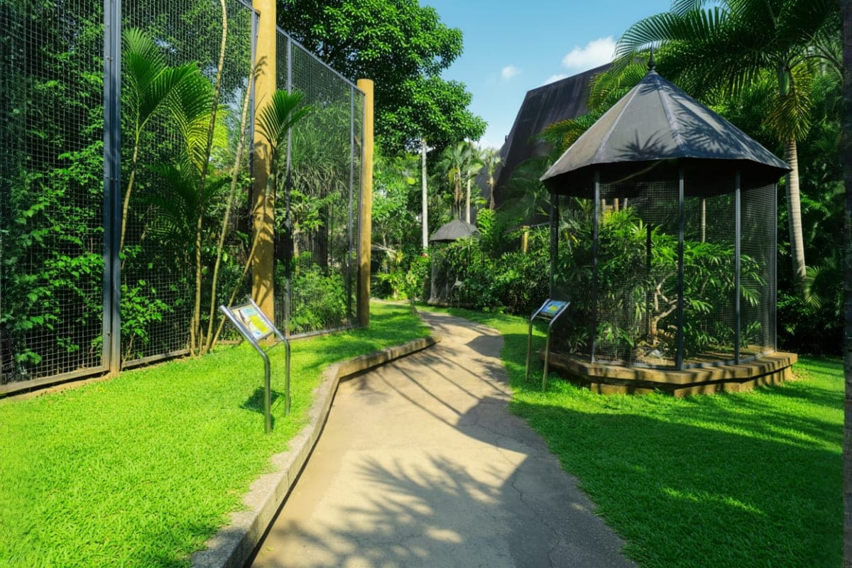 Bali Bird Park Ticket