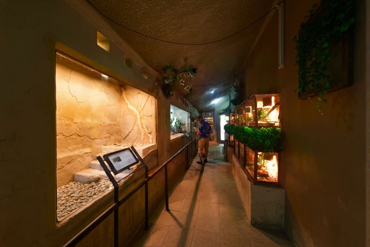 Reptile Park Bali