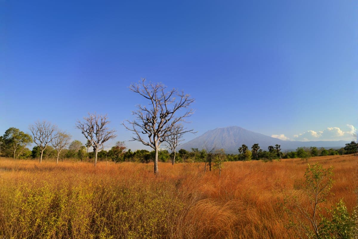 Mount Bromo Sunrise, Madakaripura Waterfall or Savannah Hills Tour